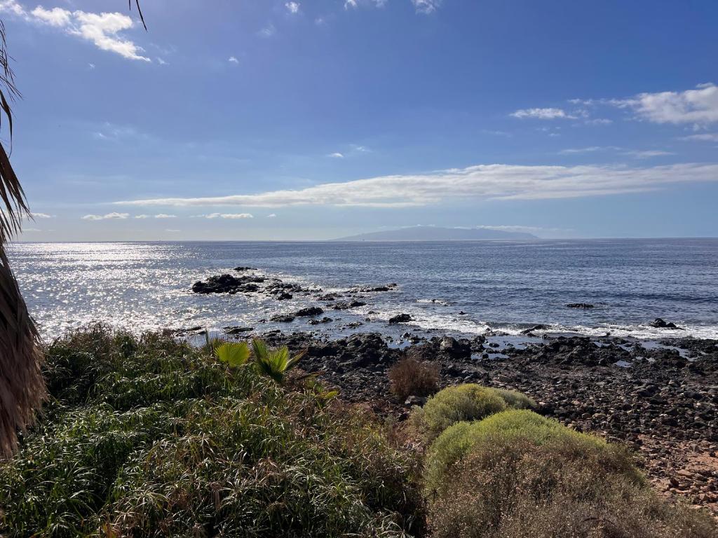 Linia brzegowa z widokiem na morze